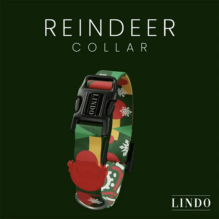 Lindo Reindeer Dog Collar Adjustable Small 30-44cm