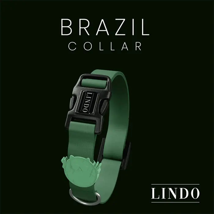 Lindo Brazil Dog Collar Stylish Daily Design Small 30-44cm