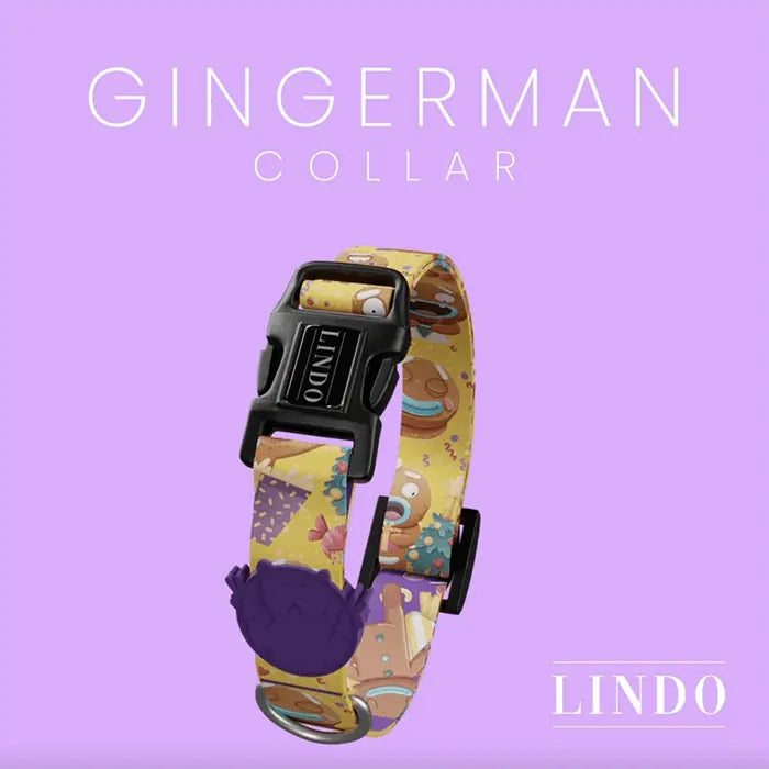 Lindo Ginger Man Dog Collar Small 30-44cm