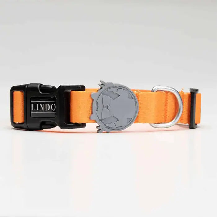Lindo Royal Dog Collar Adjustable Large 46-70cm