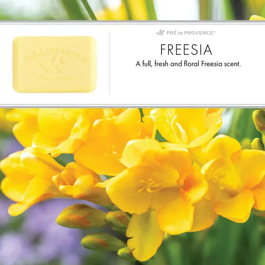 Pre De Provence Freesia Shea Butter Enriched Vegetable Soap 150g Bar Soap Pasteur Pharmacy
