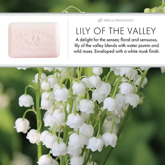 Pre De Provence Lily Of The Valley Shea Butter Enriched Vegetable Soap 150g Bar Soap Pasteur Pharmacy