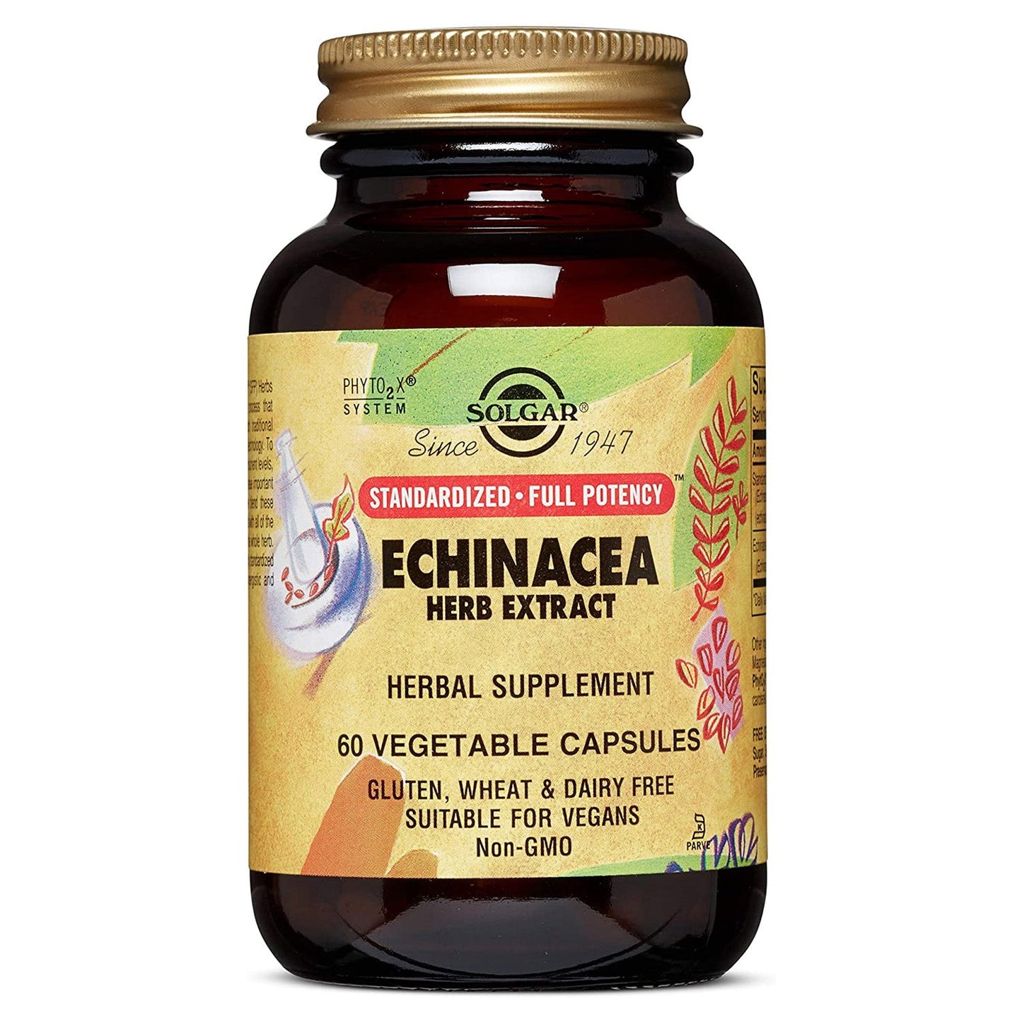 Solgar Echinacea Herb Extract 60 Vegetable Capsules Vitamins & Supplements Pasteur Pharmacy