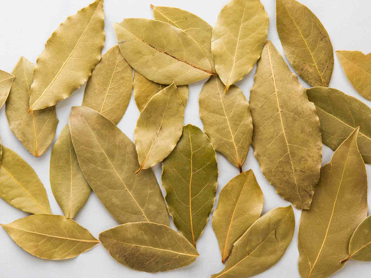 Bay Leaves for Spell Work & Intention Rituals