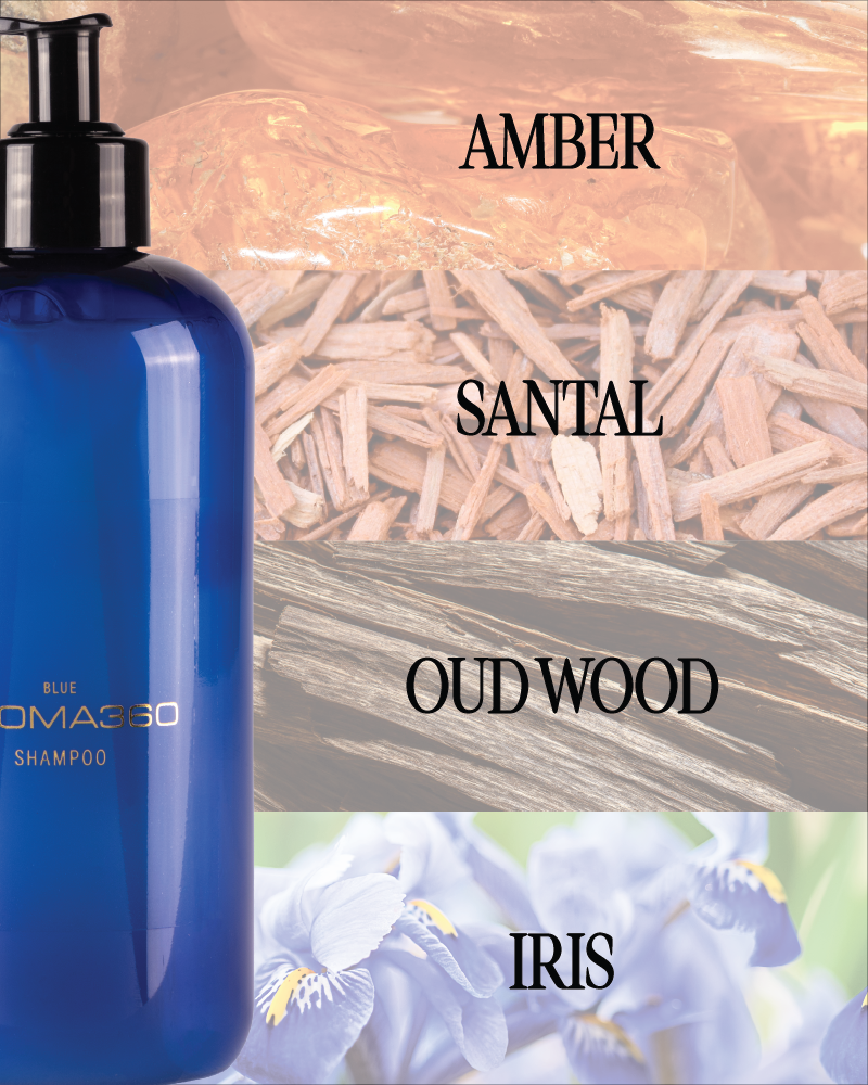 Aroma360 Blue Shampoo Shampoo Aroma360
