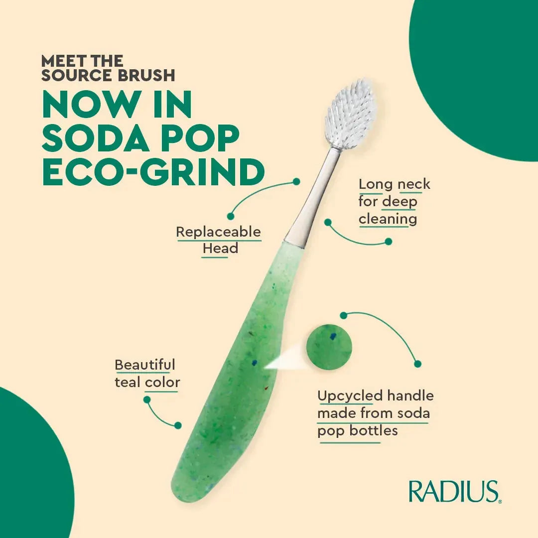 Radius Source Brush Soft Replaceable Head Toothbrush (Assorted Colors) Toothbrush Pasteur Pharmacy