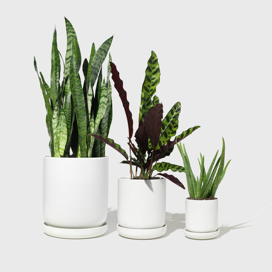 Assorted Stoneware Planters Public Goods