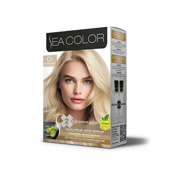 Sea Color Kit - Platinum Blonde Hair Color Kit for Vibrant Permanent Hair Dye