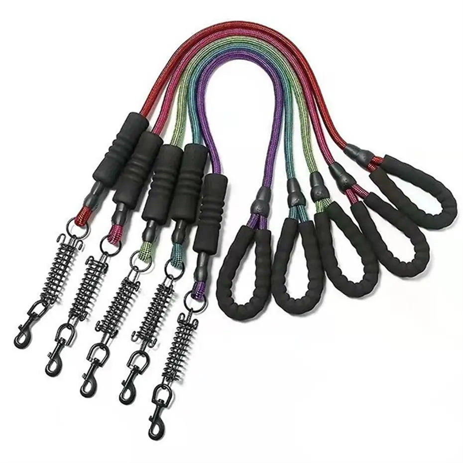Laisse ressort pour chien Lion Pet 1,5 cm x 1,2 m