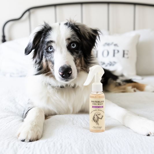 Lavender Vanilla | Waterless Dog Wash Pet Products MIXOLOGIE