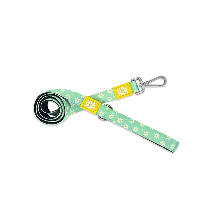 Max & Molly Margarite Dog Leash Padded Comfort Handle Small