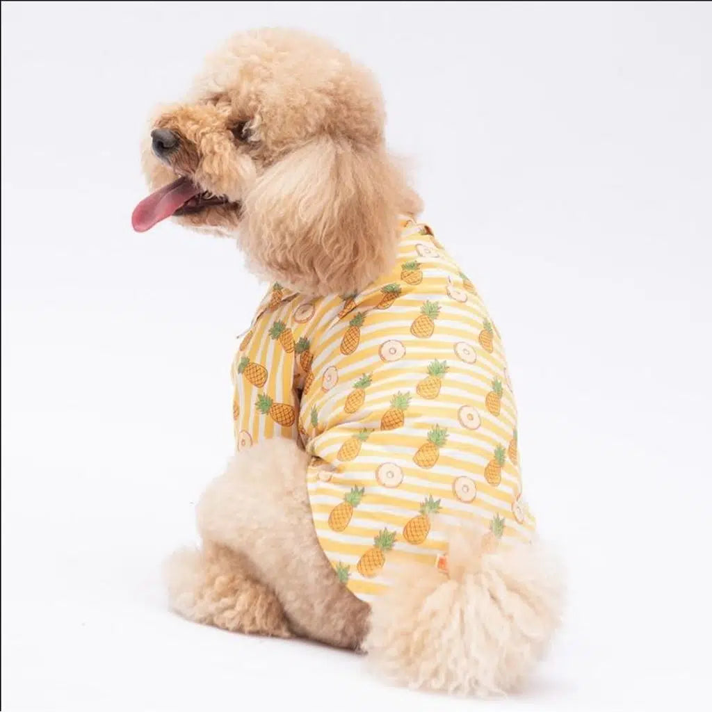 Chemise à motifs Pawstar Panama City pour chiens L