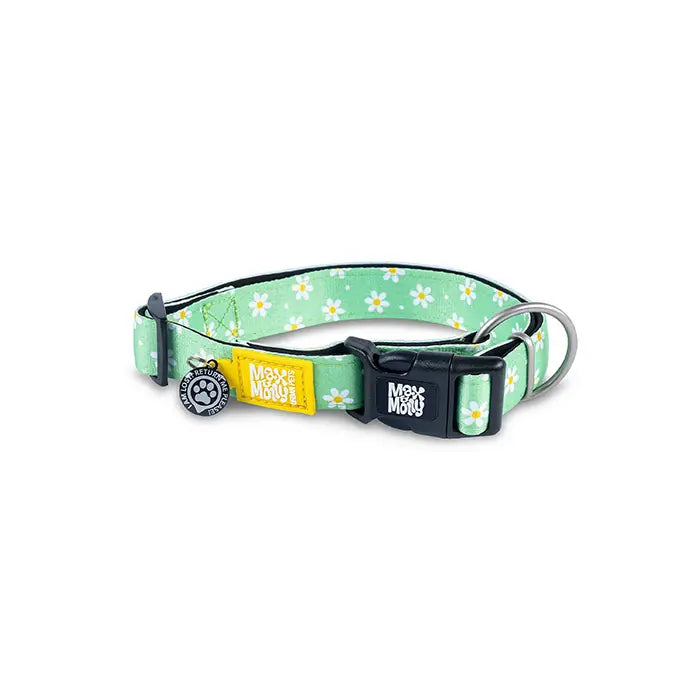 Max & Molly Smart ID Margarite Dog Collar Small