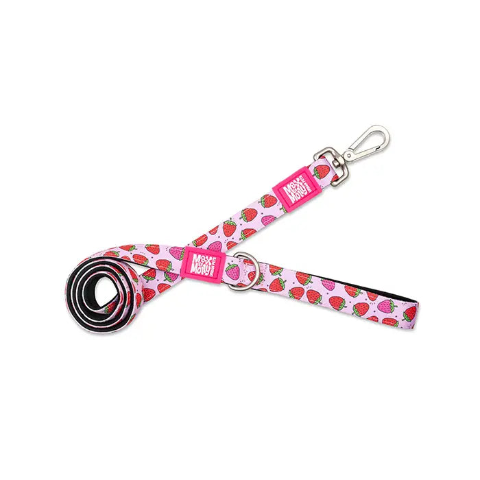 Max & Molly Strawberry Dream Dog Leash Soft Padded Small