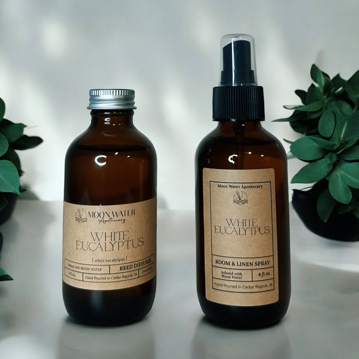 White Eucalyptus - REED DIFFUSER – Fresh Clean Aromatherapy Scent -- by Moon Water Apothecary!