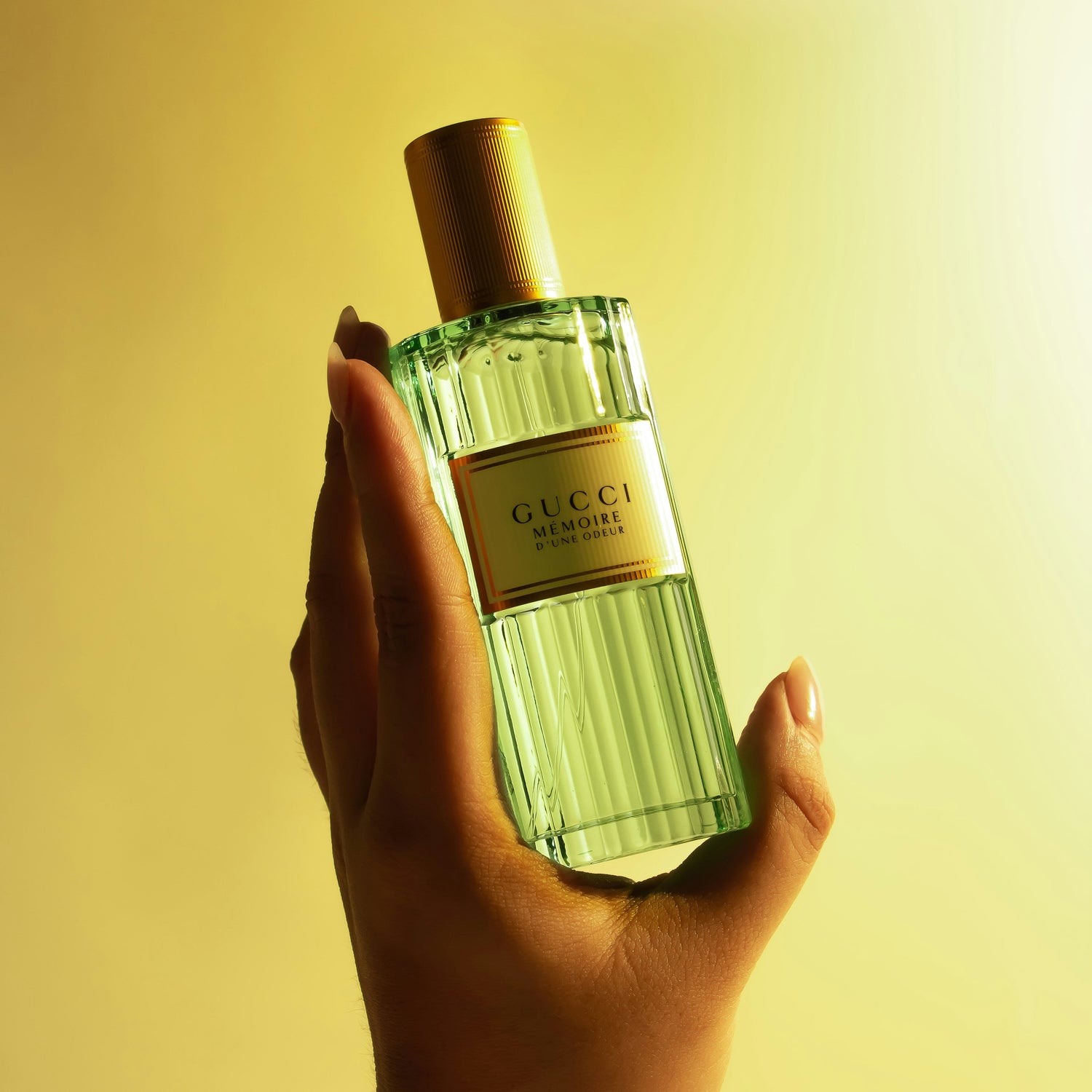 Best Selling Perfumes & Colognes