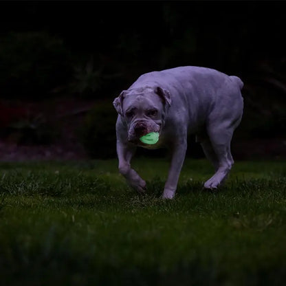 Pelota para perros Chuckit! Max Glow Air Fetch, juguete brillante en la oscuridad, tamaño mediano