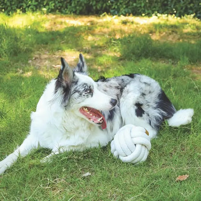 Juguete para perros M-Pets Coto, cuerda de algodón con pelota blanca, 15 cm