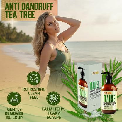 Tea Tree Shampoo Sulfate Free Anti Dandruff 16 Fl Oz Deep Cleanse for Oily and Itchy Scalp Buildup Remover Professional Oily Hair Salon Formula Paraben Free Shampoo for Women and Men