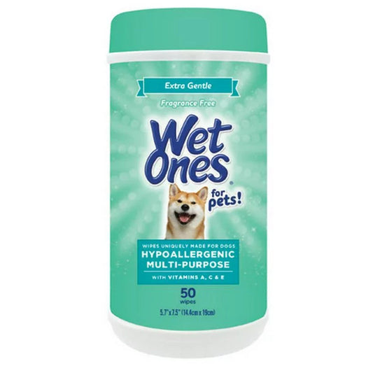 Wet Ones Wipes Xtra Gntl Hypoa Pet Wipes Pasteur Pharmacy