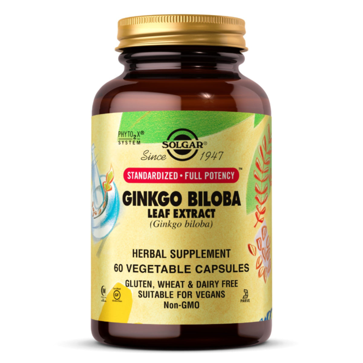 Solgar Ginkgo Biloba Leaf Extract, 180 Vegetable Capsules Vitamins & Supplements Pasteur Pharmacy