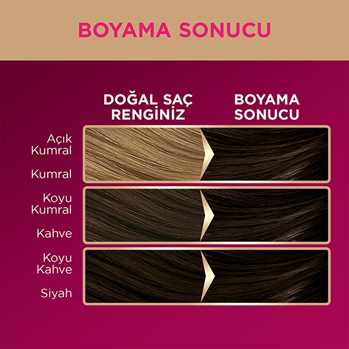 Tinte para el cabello Palette Deluxe: color intenso duradero y nutrición para un cabello vibrante