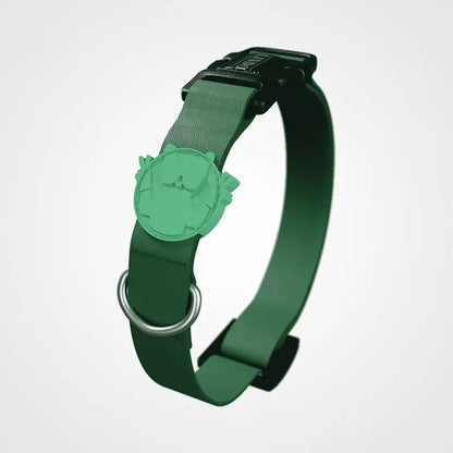 Collar para perro Lindo Brazil, diseño elegante para el día a día, pequeño 30-44 cm
