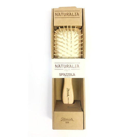 GIORGIO JANEKE Srl Naturalia Spazzola Rettangolare 1 Pezzo Pasteur Pharmacy