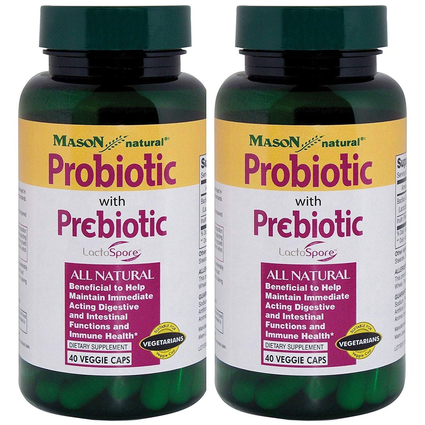 Mason Natural Probiotic With Prebiotic 1 Billion, 40 Veggie Caps Vitamins & Supplements Pasteur Pharmacy