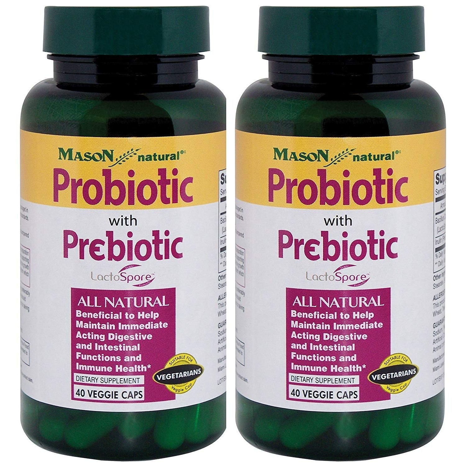 Mason Natural Probiotic With Prebiotic 1 Billion, 40 Veggie Caps Vitamins & Supplements Pasteur Pharmacy