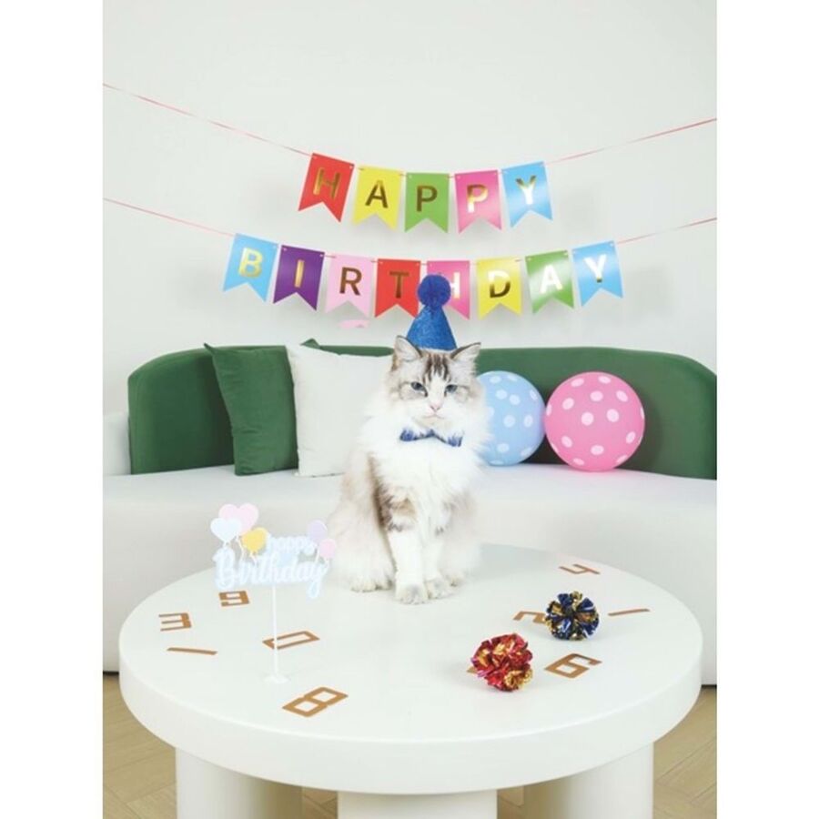 Ensemble d'anniversaire Party Time M-Pets pour chats mâles, thème bleu, 10 pièces