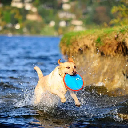 Juguete aerodinámico para perros Chuckit! Paraflight Flyer, pequeño