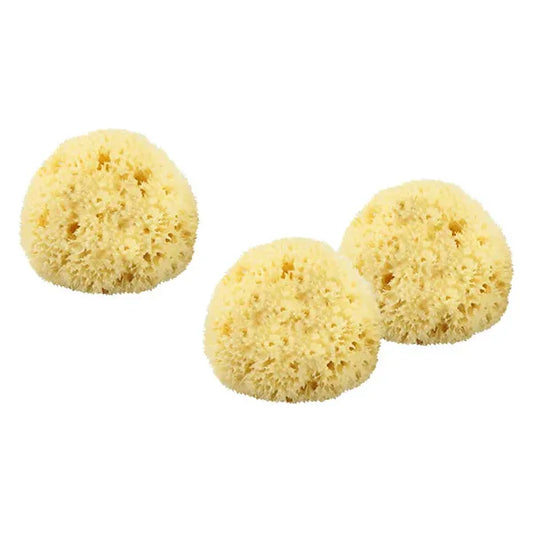 The Sponge Company Sea-Silk Cosmetic Sponge #3 1PC LG [101-03] Cosmetic Sponge Pasteur Pharmacy