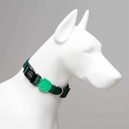 Collier pour chien Lindo Brazil, grand modèle réglable 46-70 cm