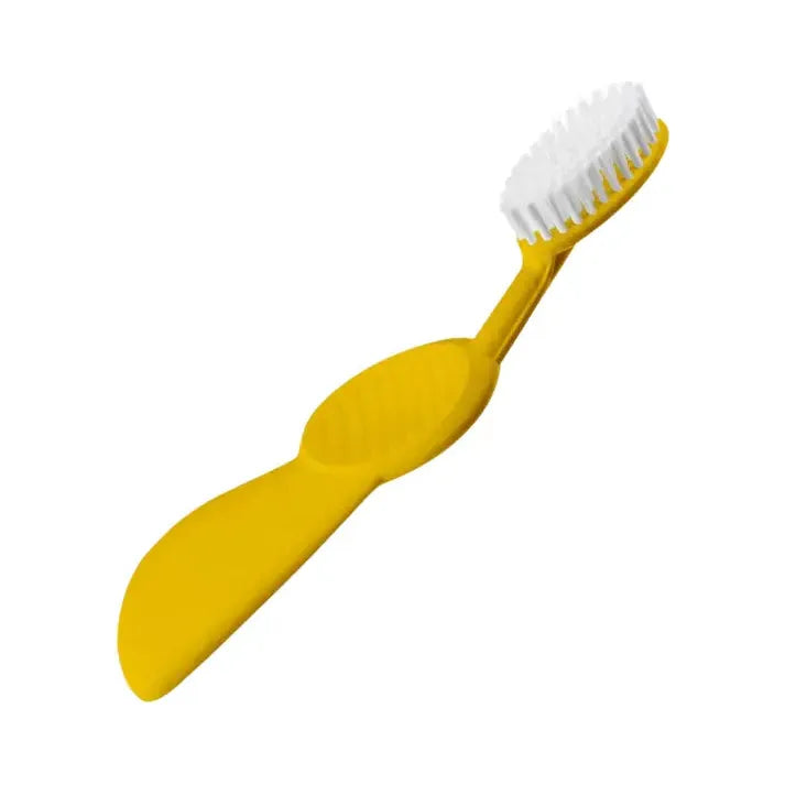 Radius Flex Brush Soft Right Hand Toothbrush (Assorted Colors) Toothbrush Pasteur Pharmacy