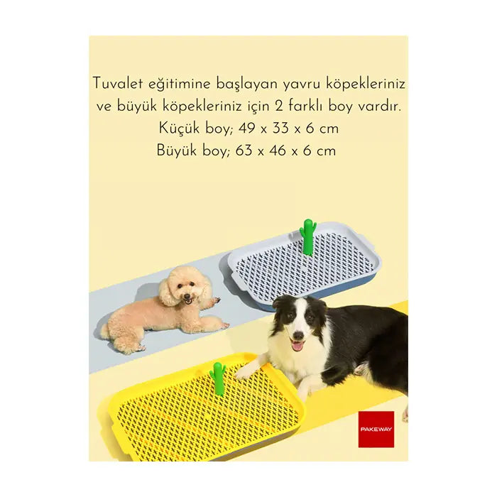Pakeway Cactus Dog Pee Pad Holder for Training Yellow Small