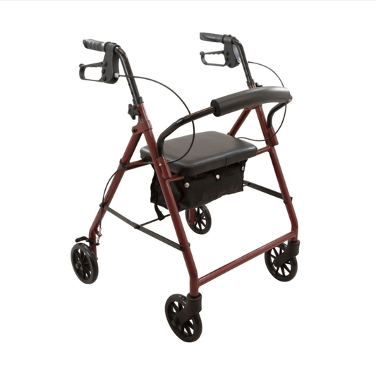 Rollator Blue Steel Knock Down Eq Walkers Pasteur Pharmacy