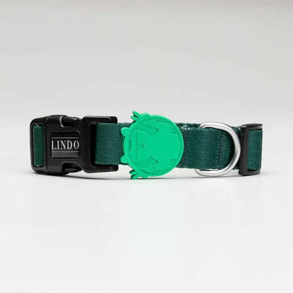 Collar para perro Lindo Brazil, diseño elegante para el día a día, pequeño 30-44 cm