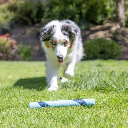 Jouet pour chien Chuckit! Sniff Fetch Ham, parfumé au jambon, pour le jeu interactif