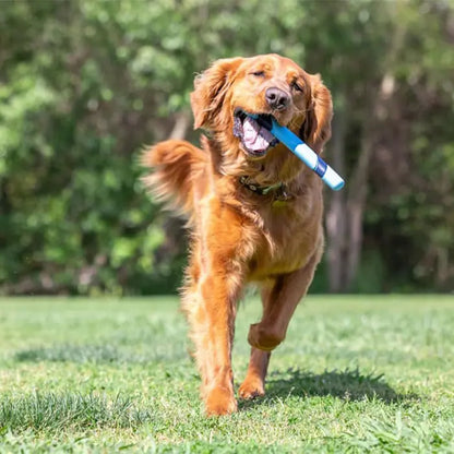 Jouet pour chien Chuckit! Sniff Fetch Ham, parfumé au jambon, pour le jeu interactif