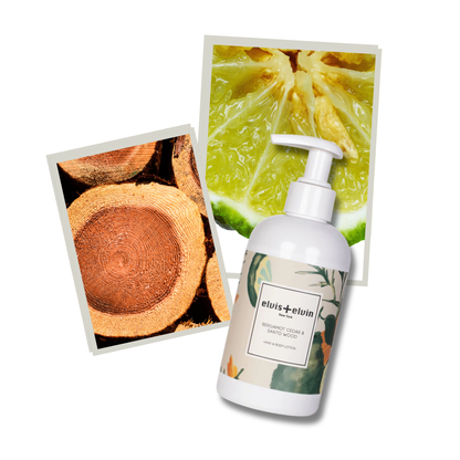 Bergamot Cedar & Santo Wood Hand & Body Lotion