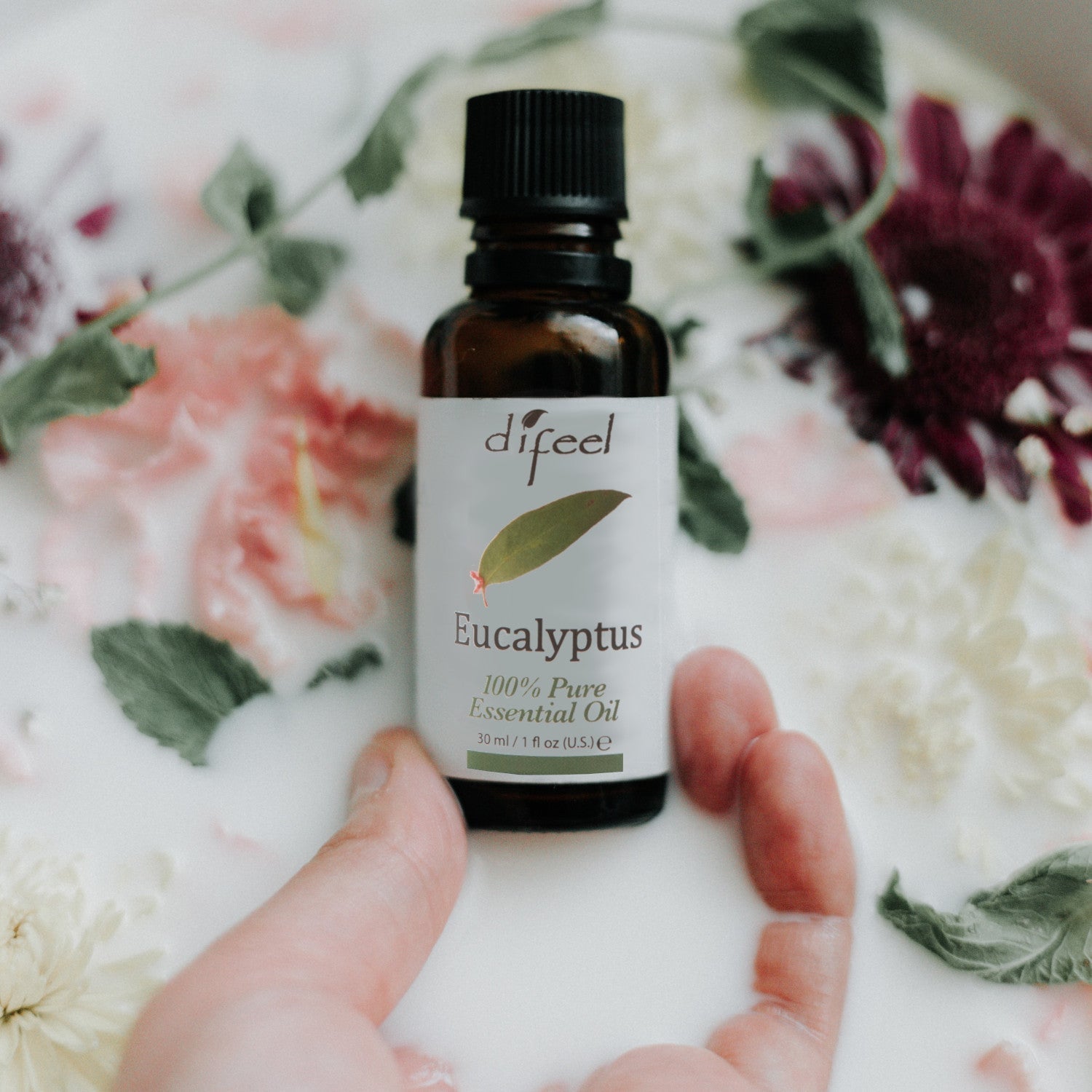 Difeel Essential Oils 100% Pure Eucalyptus Oil 1 Ounce Fragrance Oil Pasteur Pharmacy