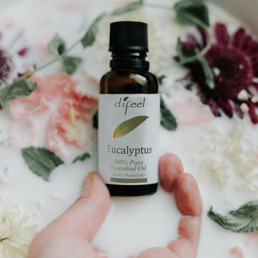 Difeel Essential Oils 100% Pure Eucalyptus Oil 1 Ounce Fragrance Oil Pasteur Pharmacy