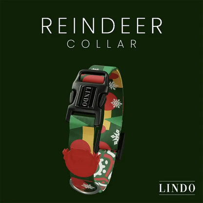 Collier pour chien Lindo Reindeer, design élégant et réglable, taille moyenne 37-56 cm