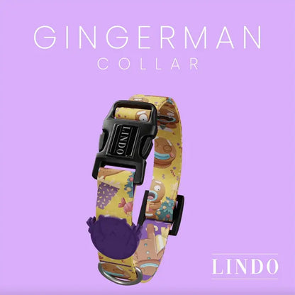 Collier pour chien Lindo Ginger Man, petite taille, 30-44 cm