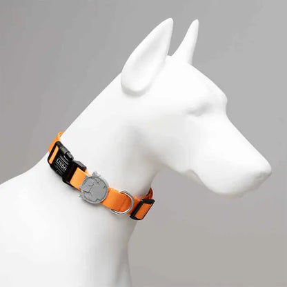 Collar para perro Lindo Royal, ajustable, grande, 46-70 cm