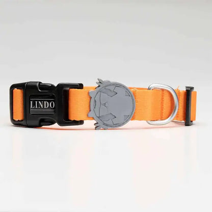Collar para perro Lindo Royal, ajustable, grande, 46-70 cm