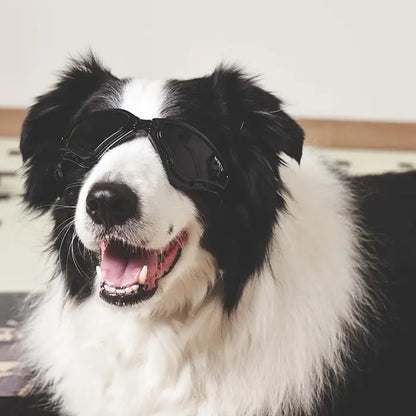 Lunettes de protection solaire pour chien M-Pets Sunny Trailblazer, noir