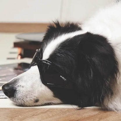 Lunettes de protection solaire pour chien M-Pets Sunny Trailblazer, noir
