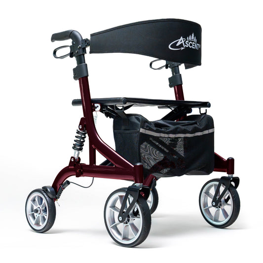 Ascent Euro-Style Rollator Brandywine Walkers Pasteur Pharmacy